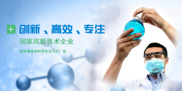創新、高效、專注